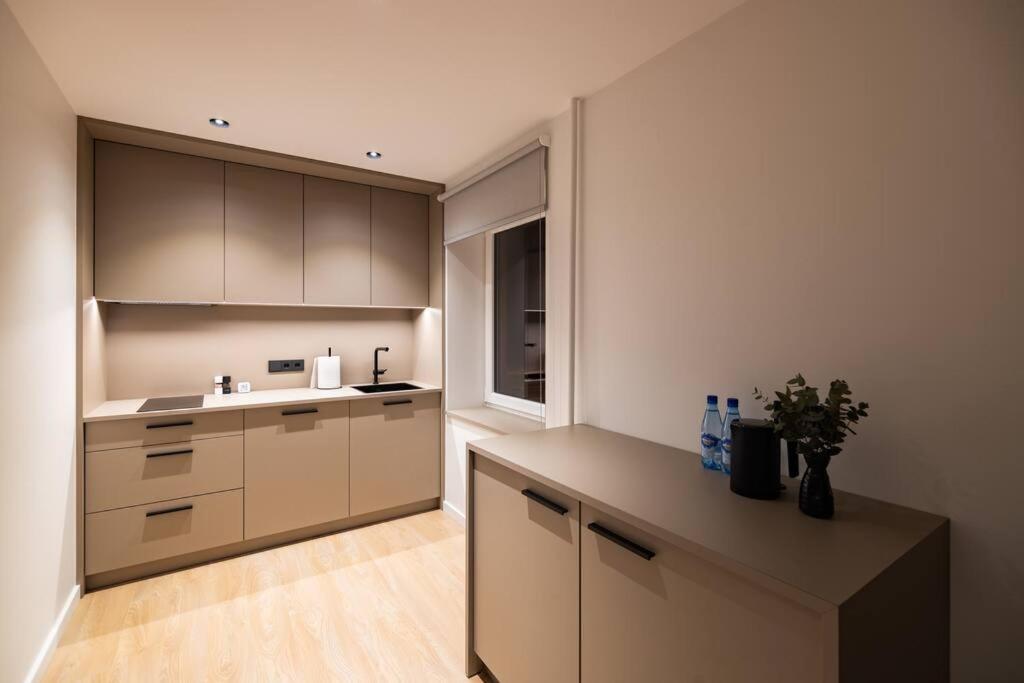 Birzes Dzivoklis Apartment *