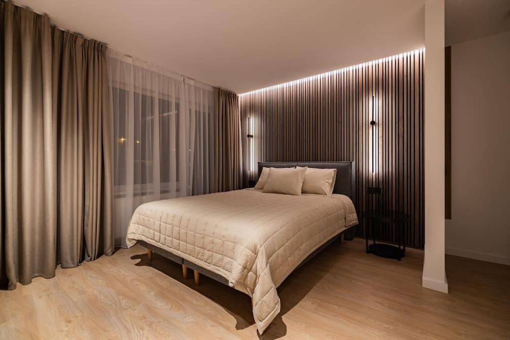 Birzes Dzivoklis Apartment